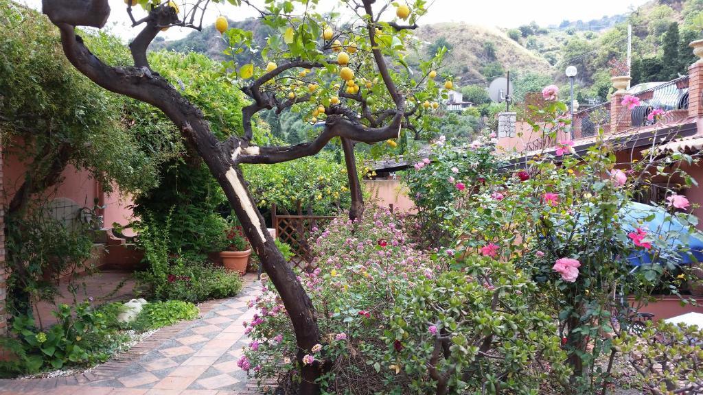 Villa Carmelas Taormina Exterior foto