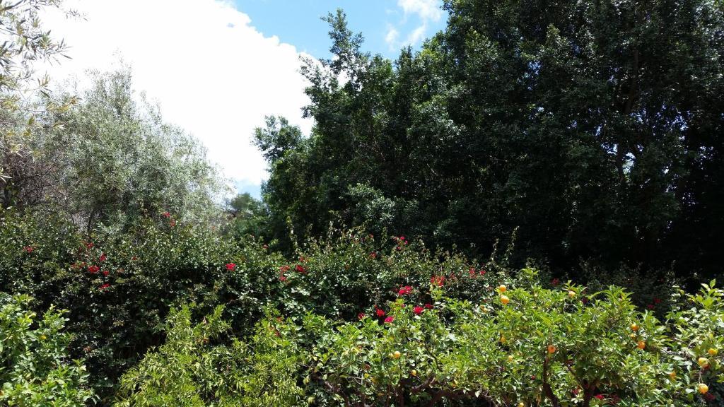 Villa Carmelas Taormina Exterior foto